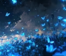 Shivani ୨୧・・・୨୧・・・♡