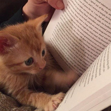 carzreads
