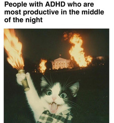 Londyn🍋💙💜🖤✨ Bruns-I love fantasy!!