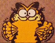 charlie ໒꒱ ‧₊˚