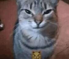 João Andrade e Sousa