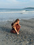 Lina L