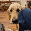 Ronan