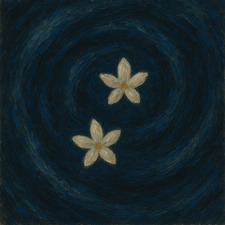Dasi