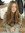 Zoe Stevens