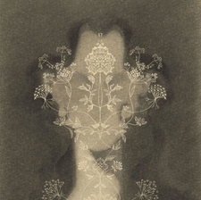 ○°:•. ariii .•:°○