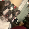 casey