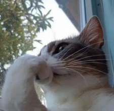 Daniel Valentin Nedelea