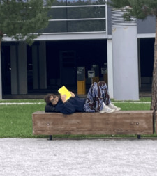 Pauli