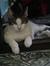 Edith Z...
