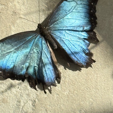 Maryam 🏃‍♀️