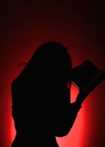 dreamsinbook