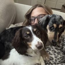 ☆.｡.:* Molly *:.｡.☆