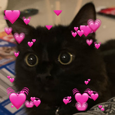 Hazel