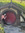 Josephine