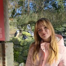 Eline Numan