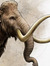 mammoth