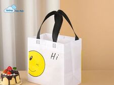 Túi Vải Không Dệt