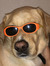 Sollie ...