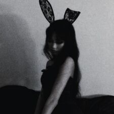 ₊˚ シャーロット.✧