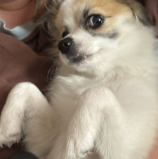 imogen !!!!