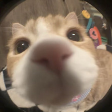 Karlaaaa