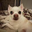 Lexie