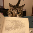 cami