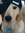 ralu