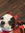 member photo member photo