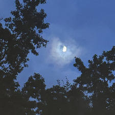 ✨celestial reads✨