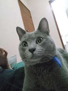 Arthur