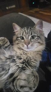 Lilly