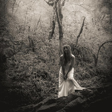 Sheri Miller