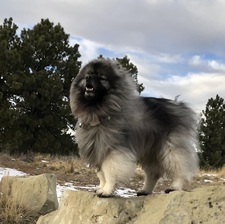 Brenda 