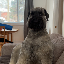 Alexandra Tushingham