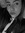 Bente Karseboom