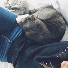 Cassandre Forcier-Martin