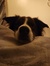 Bailey ...