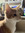 member photo member photo
