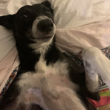 Skyepie1