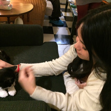 ចន្ទ័ណារី ❦