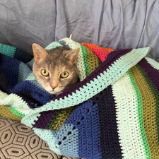 Nina