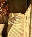 Reader