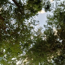 ☆•° miriam °•☆