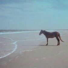 delayed gratification