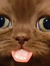 Edijs B...
