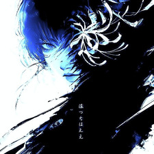 not your average reader