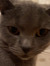 Zilly