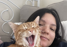 Ali
